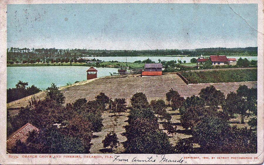 Ivanhoe Pineries as seen in a postcard mailed in 1905. Courtesy University of Florida Digital Collections The wooden covered pineries covering acres of land between Lake Concord and Lake Ivanhoe.  The top of George Russell's home can been seen in the back ground on the right side.