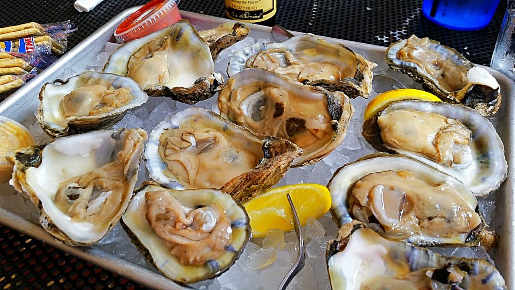 Chincoteague Oysters (1)