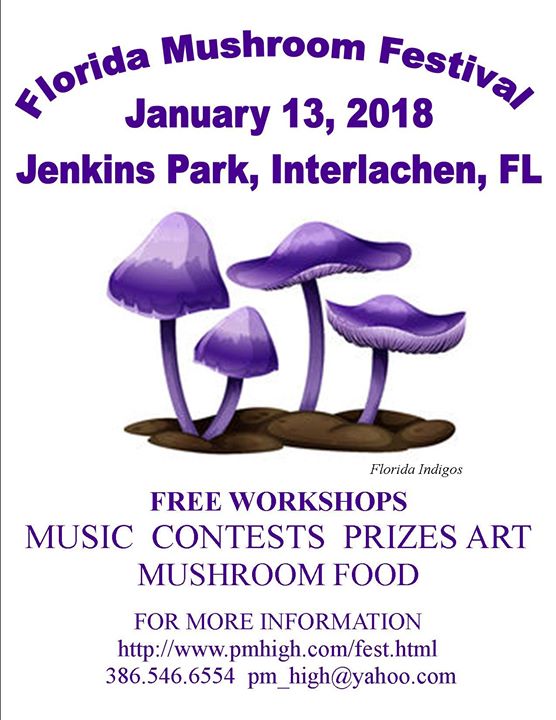 Florida Mushroom Festival Free! January 13, 2018 Bungalower
