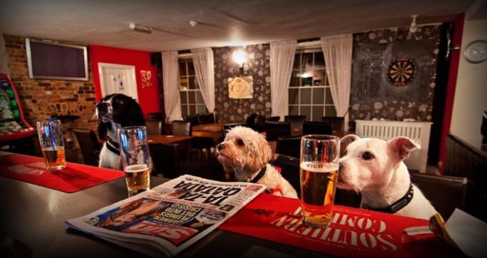 Barks, Bubbles And Brews - Bungalower