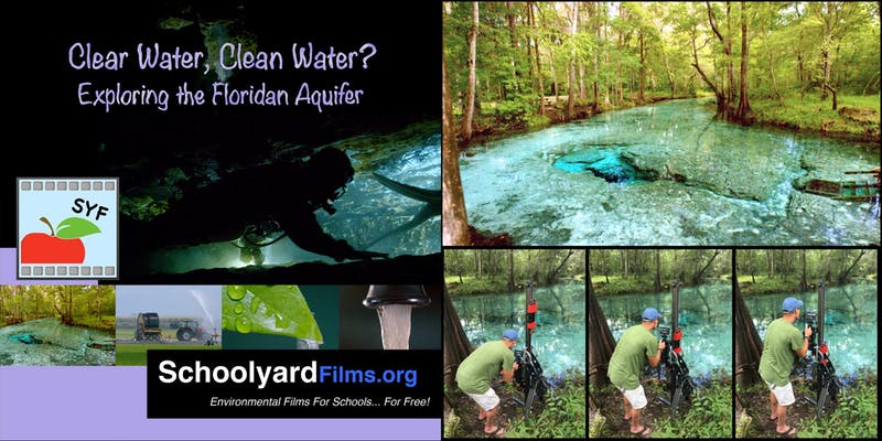 Clear Water Clean Water Exploring The Floridan Aquifer Bungalower