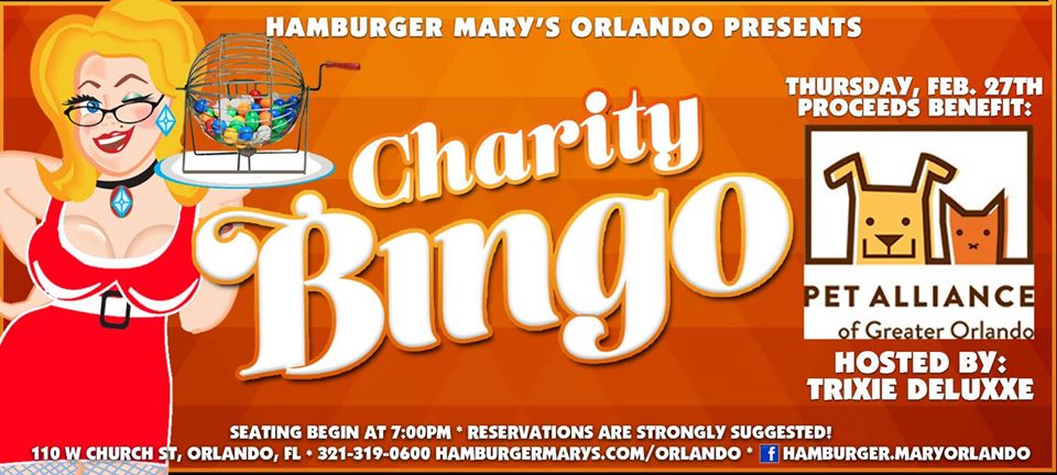 Charity Bingo The Pet Alliance Of Orlando Bungalower