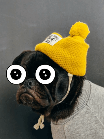 Cute Puppy Dog Eyes GIFs