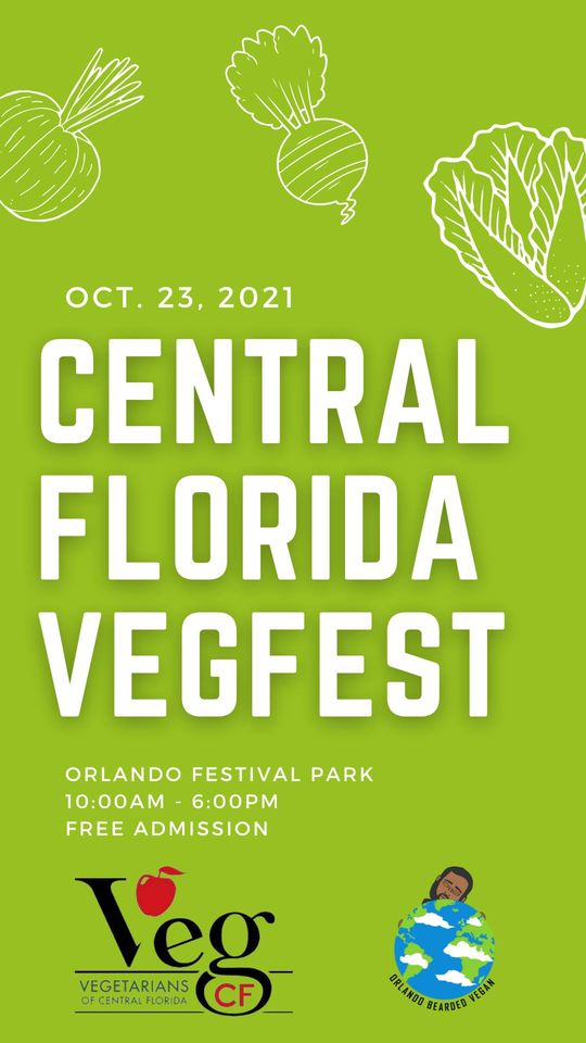 Central Florida VegFest Food Court Bungalower