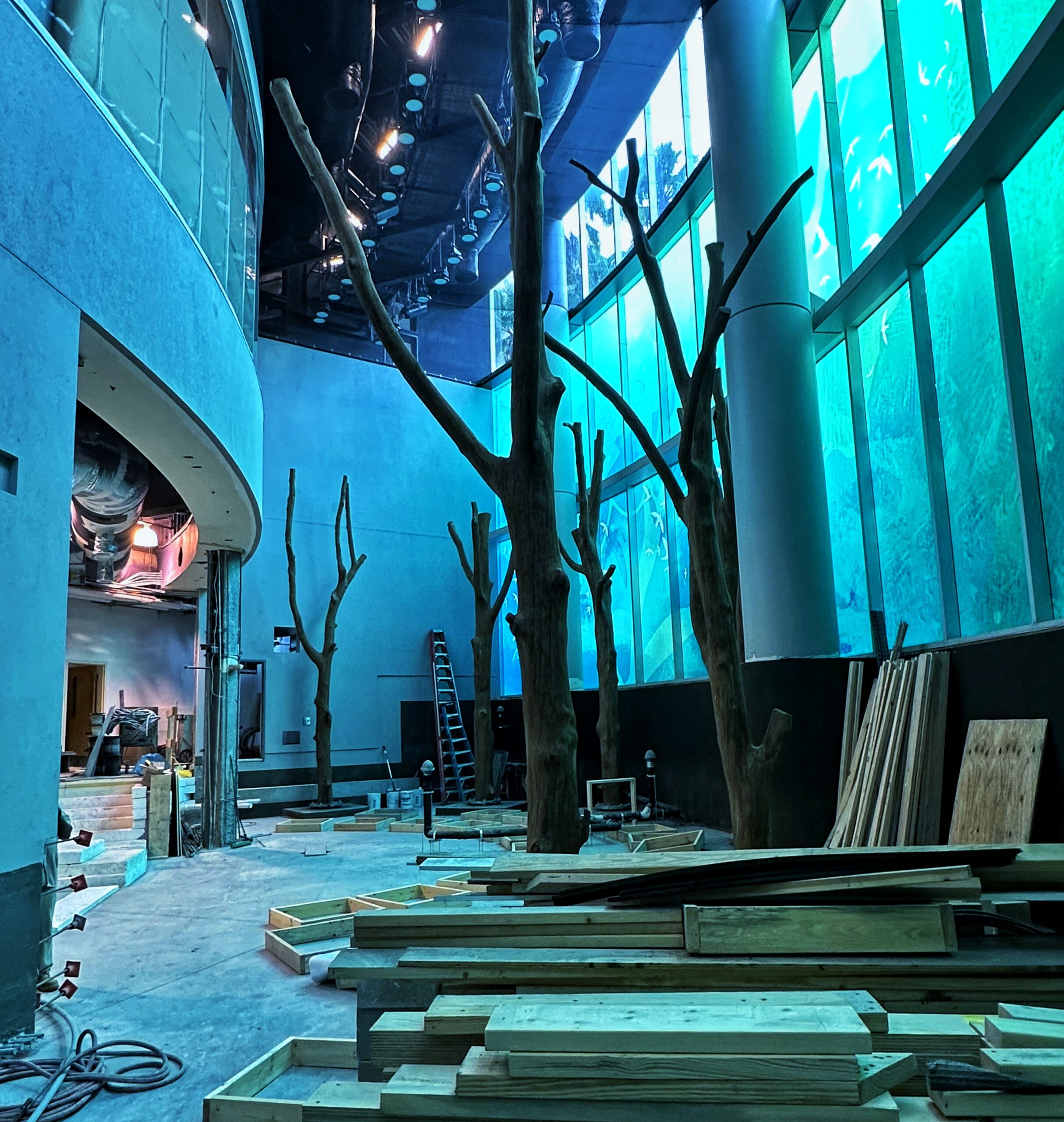 VIDEO: Get a behind-the-scenes tour of Orlando Science Center's under ...