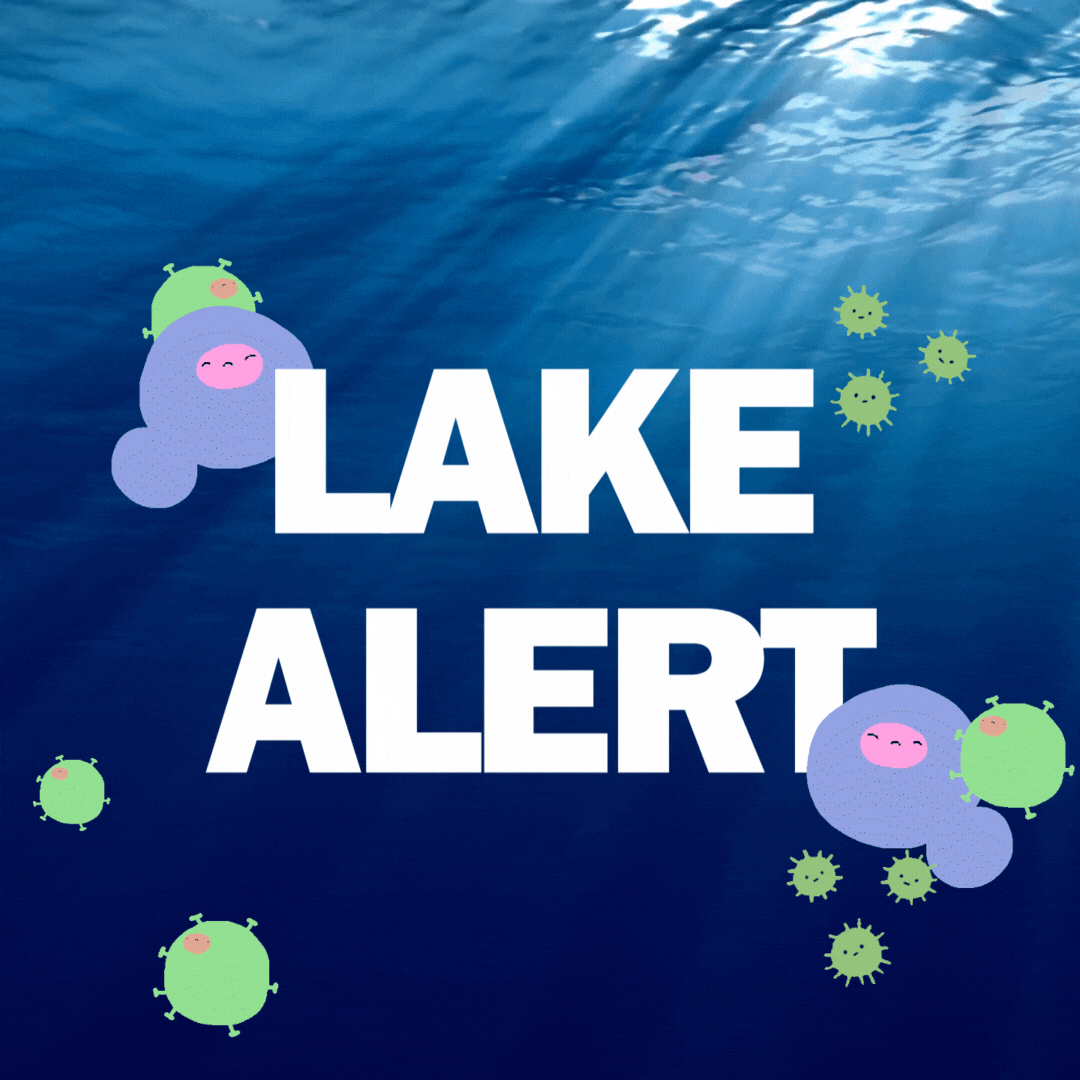 Lake Alert: Algae in Lake Arnold